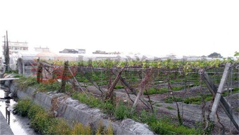 員林員大路旁農地房屋室內格局與周邊環境