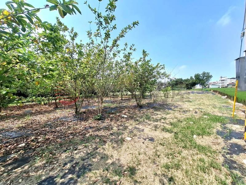 霧峰近交流道合法農地廠房房屋室內格局與周邊環境