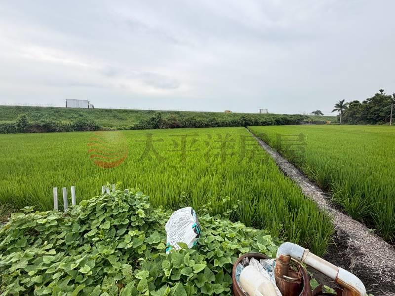 秀水田園美地房屋室內格局與周邊環境