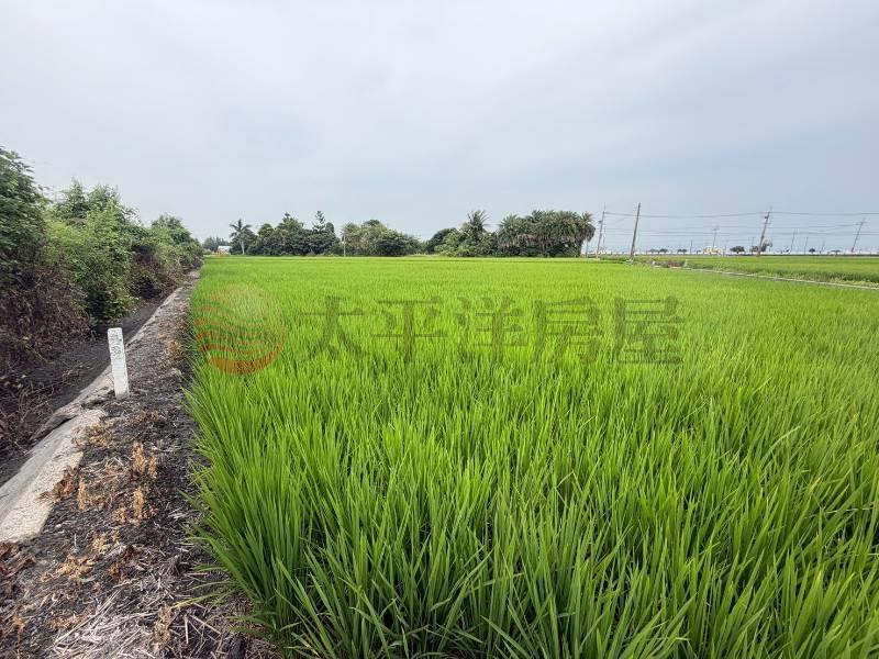 秀水田園美地房屋室內格局與周邊環境