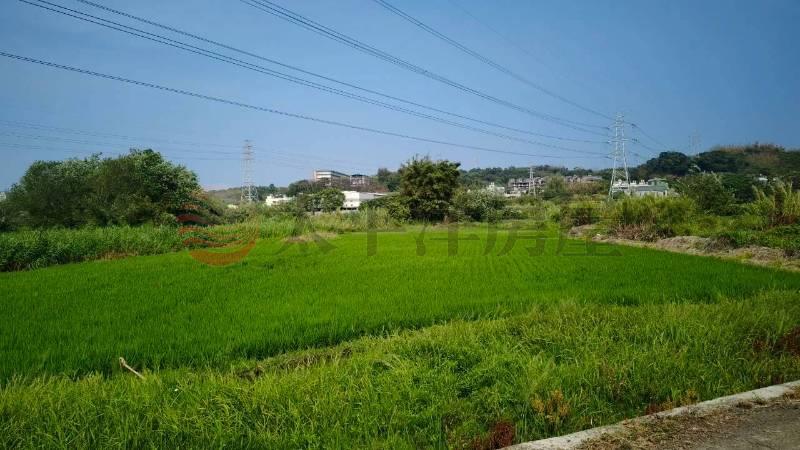 白沙美田III房屋室內格局與周邊環境