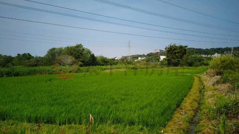 白沙美田III房屋室內格局與周邊環境