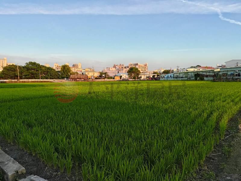 神岡近豐原大道旁都內田地房屋室內格局與周邊環境