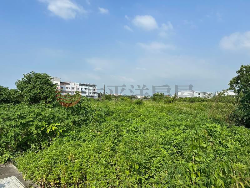 埔心羅厝都市計畫內臨路農地房屋室內格局與周邊環境