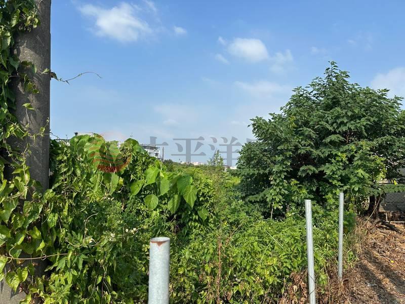 埔心羅厝都市計畫內臨路農地房屋室內格局與周邊環境