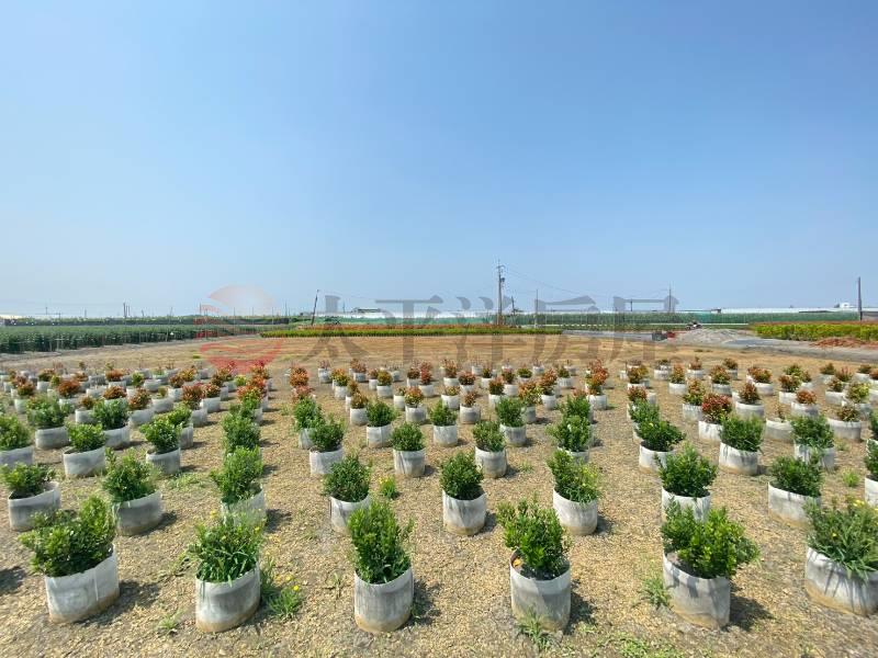 永靖福中段大面寬優質農地房屋室內格局與周邊環境