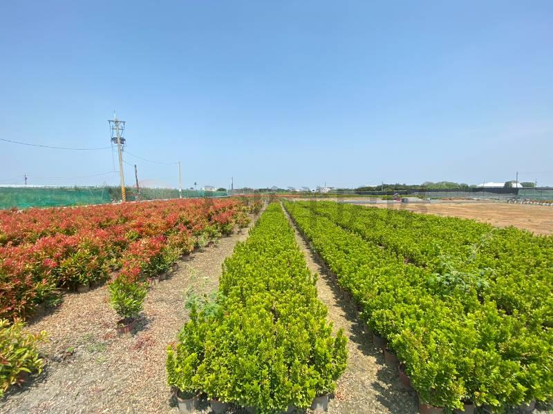 永靖福中段大面寬優質農地房屋室內格局與周邊環境