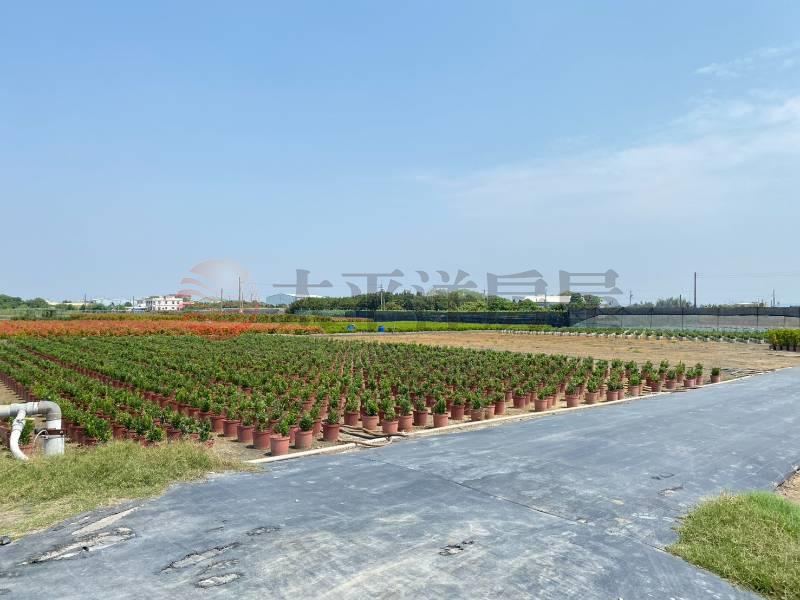 永靖福中段大面寬優質農地房屋室內格局與周邊環境