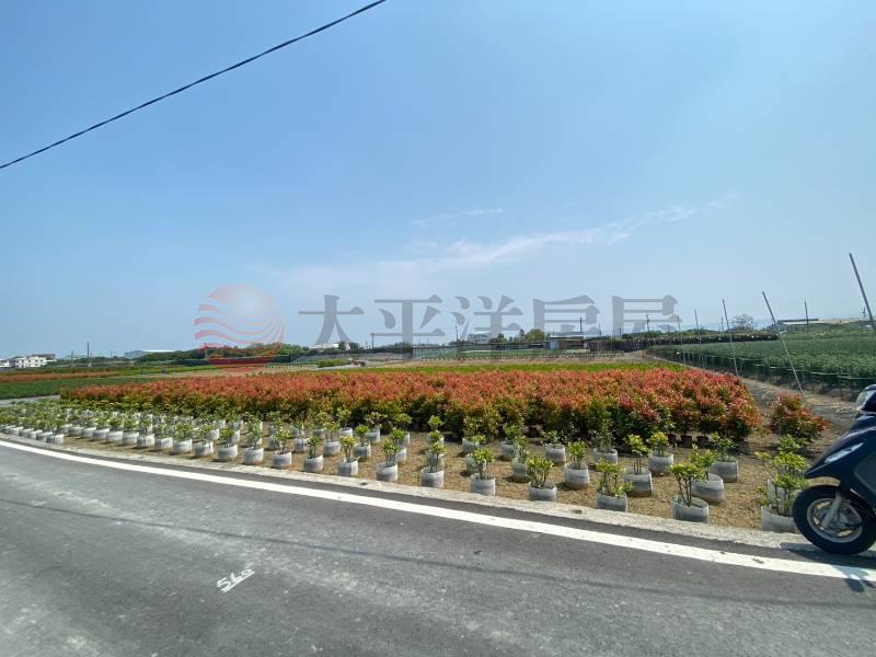 永靖福中段大面寬優質農地房屋室內格局與周邊環境