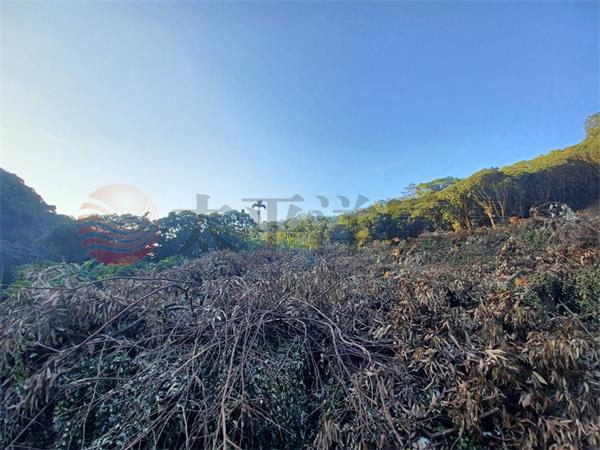 南投正八卦路美農地房屋室內格局與周邊環境