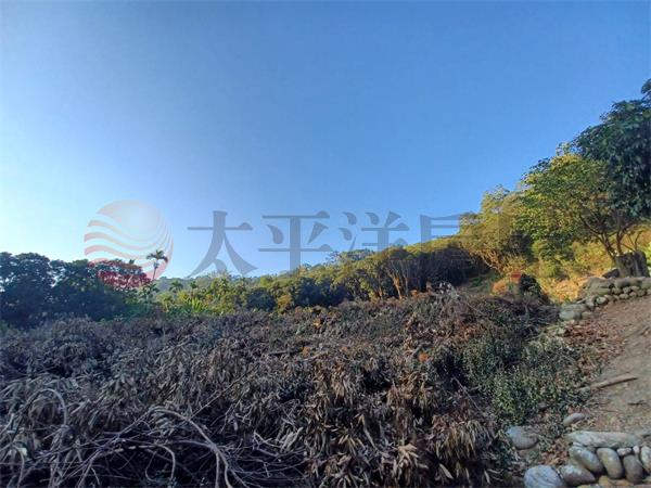 南投正八卦路美農地房屋室內格局與周邊環境