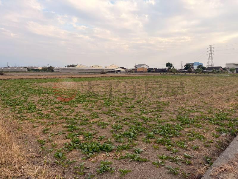 近雲科大角地房屋室內格局與周邊環境