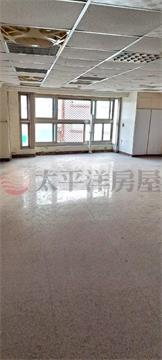 民生國小大建坪華廈房屋室內格局與周邊環境