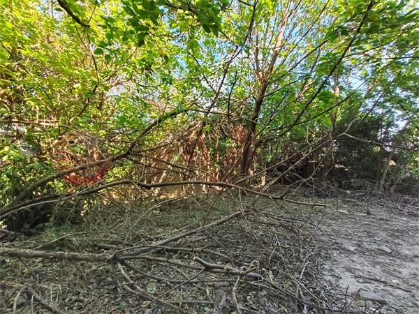環河街高速公路特定區田+建房屋室內格局與周邊環境