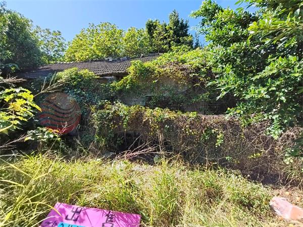 環河街高速公路特定區田+建房屋室內格局與周邊環境