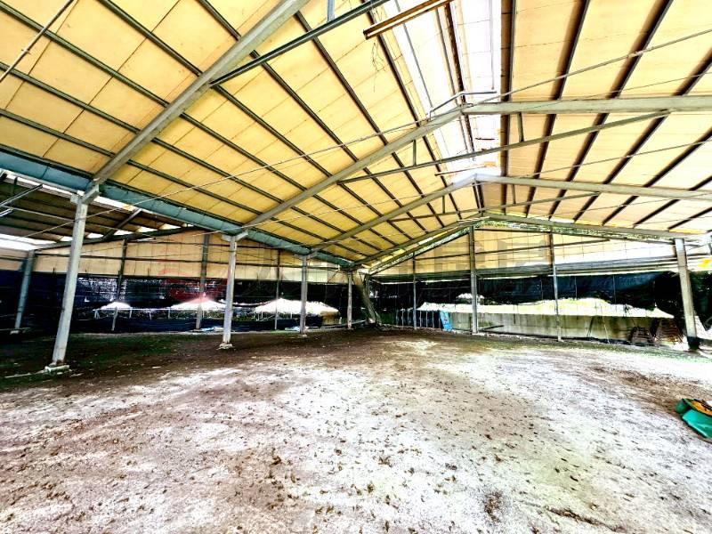 埔里合法菇寮房屋室內格局與周邊環境