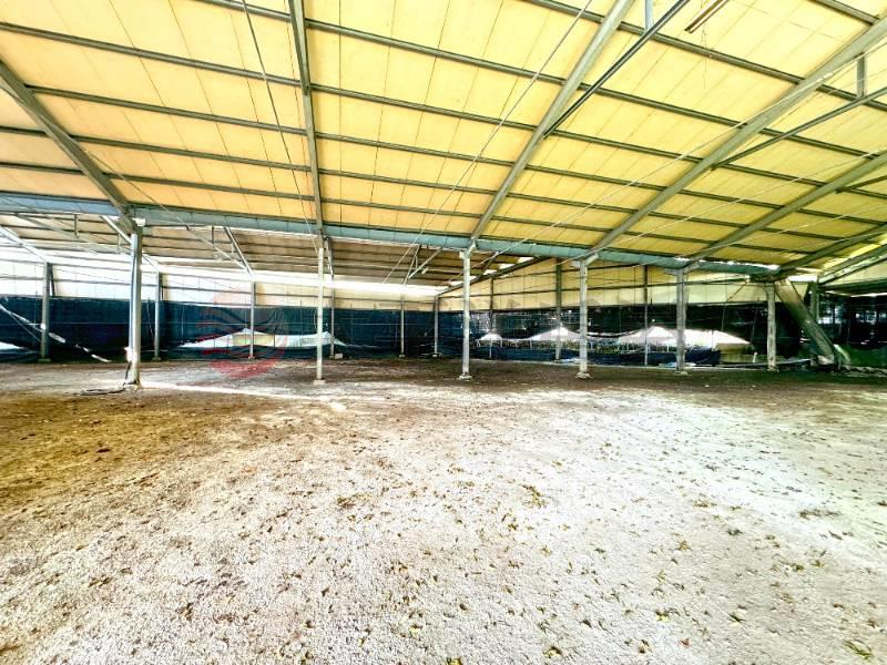 埔里合法菇寮房屋室內格局與周邊環境