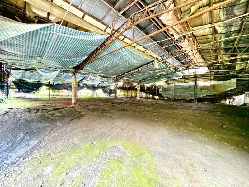 埔里合法菇寮房屋室內格局與周邊環境