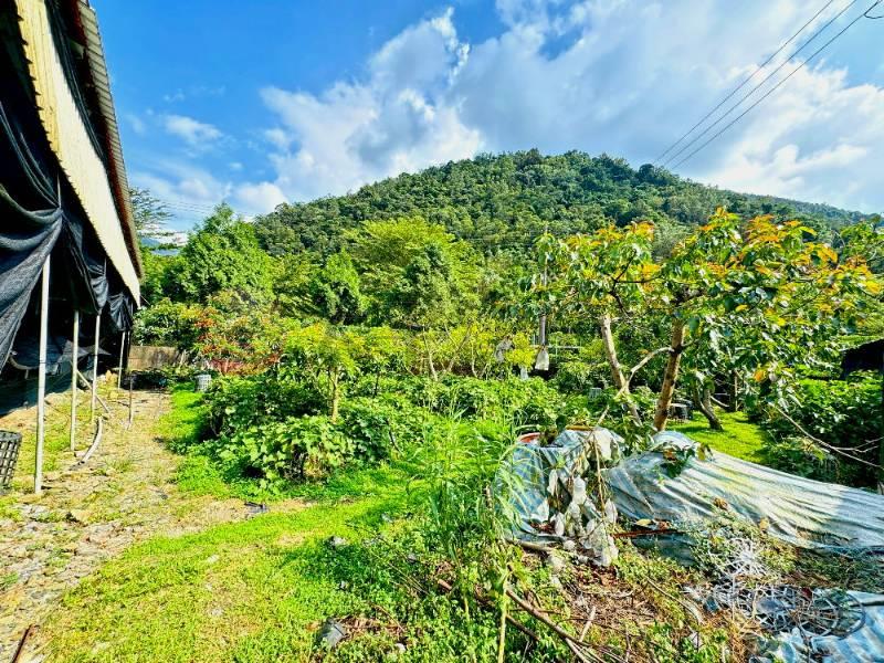 埔里合法菇寮房屋室內格局與周邊環境