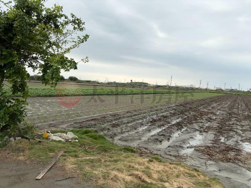 水林特農臨路房屋室內格局與周邊環境