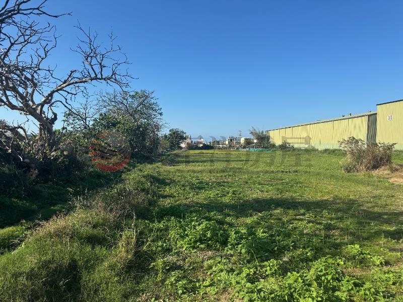 蘆竹大坑段一般農地