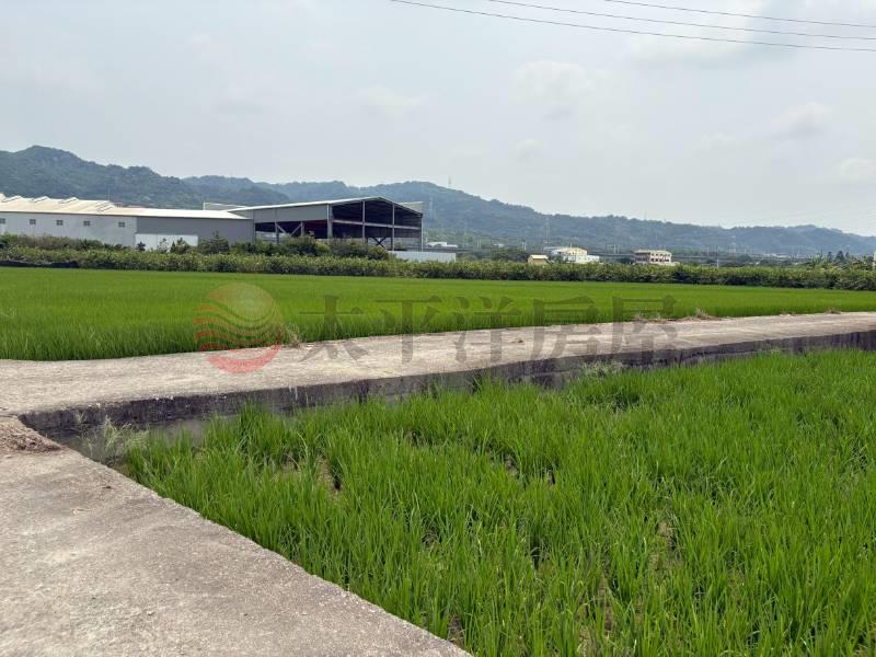 社頭社石段田地房屋室內格局與周邊環境