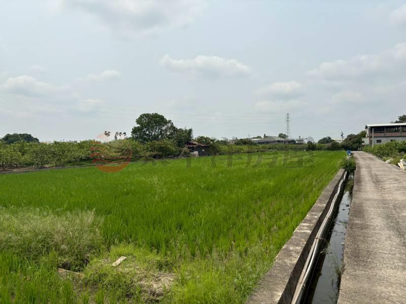 社頭社石段田地房屋室內格局與周邊環境