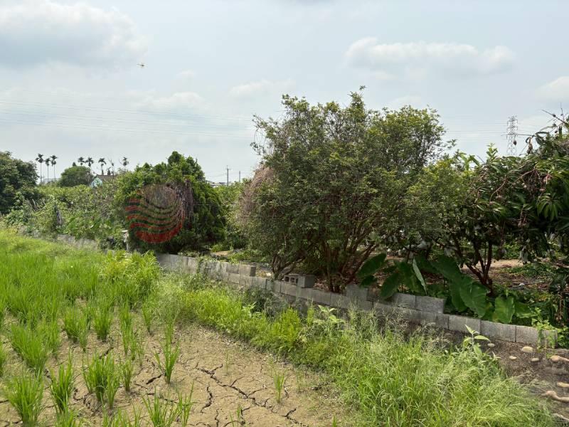 社頭社石段田地房屋室內格局與周邊環境