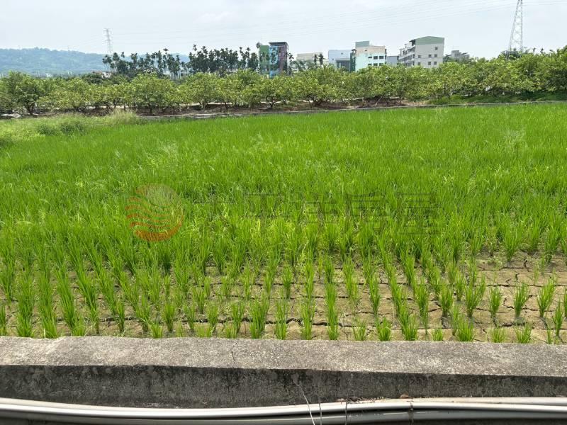 社頭社石段田地房屋室內格局與周邊環境
