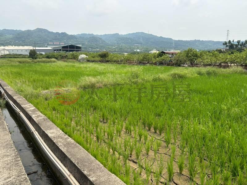 社頭社石段田地房屋室內格局與周邊環境