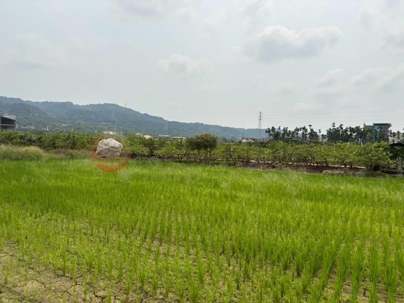 社頭社石段田地房屋室內格局與周邊環境