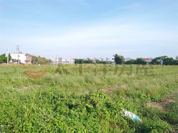 東明國小美農地房屋室內格局與周邊環境