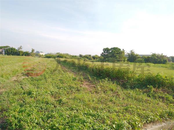 東明國小美農地房屋室內格局與周邊環境