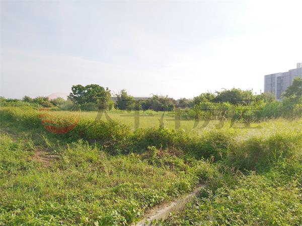 東明國小美農地房屋室內格局與周邊環境