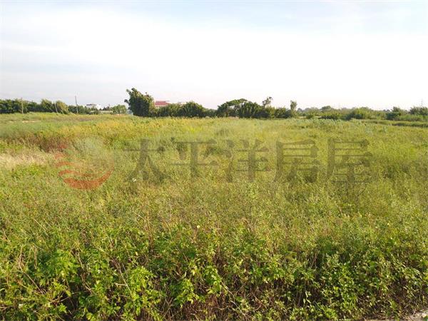 東明國小美農地房屋室內格局與周邊環境