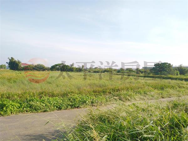 東明國小美農地房屋室內格局與周邊環境