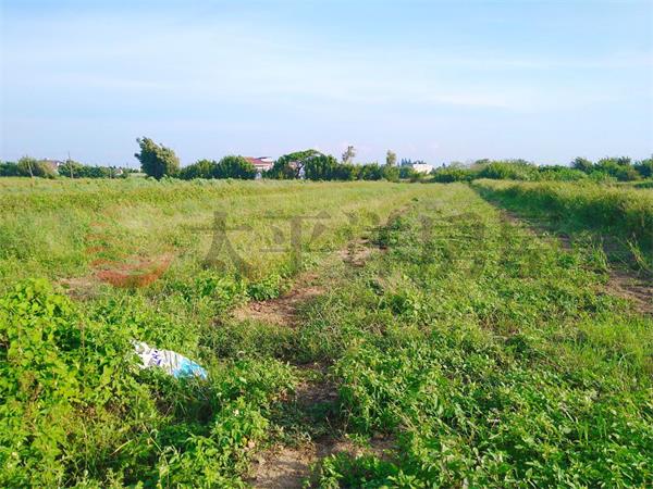 東明國小美農地房屋室內格局與周邊環境