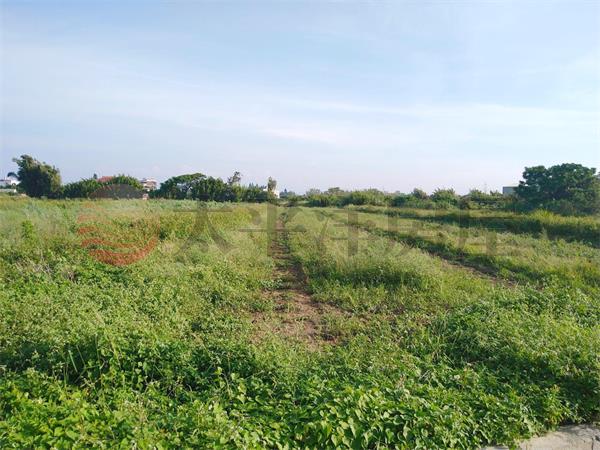 東明國小美農地房屋室內格局與周邊環境