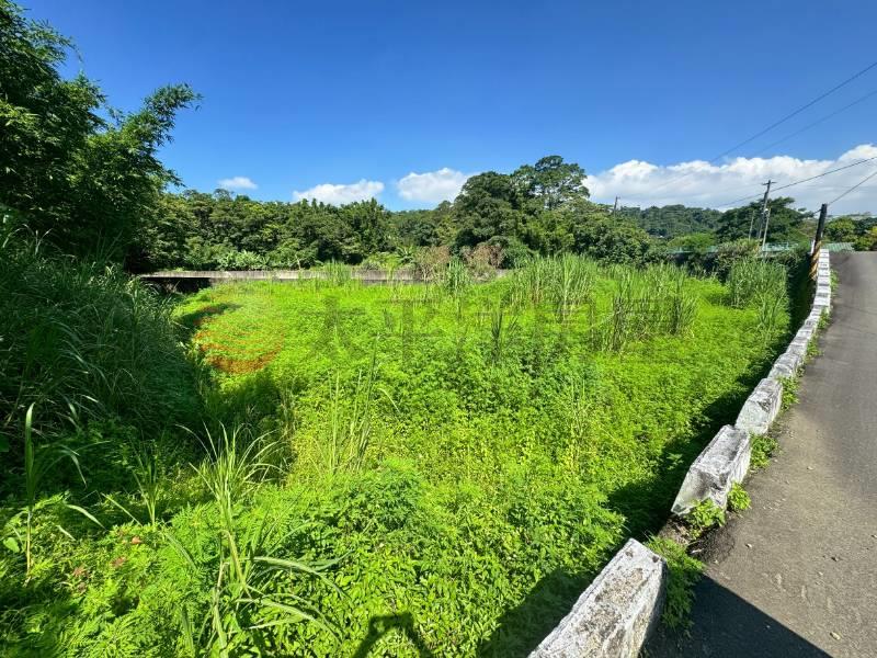 大溪信義段美農地房屋室內格局與周邊環境