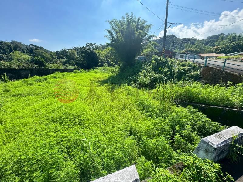 大溪信義段美農地房屋室內格局與周邊環境