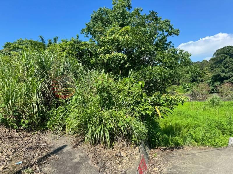 大溪信義段美農地房屋室內格局與周邊環境