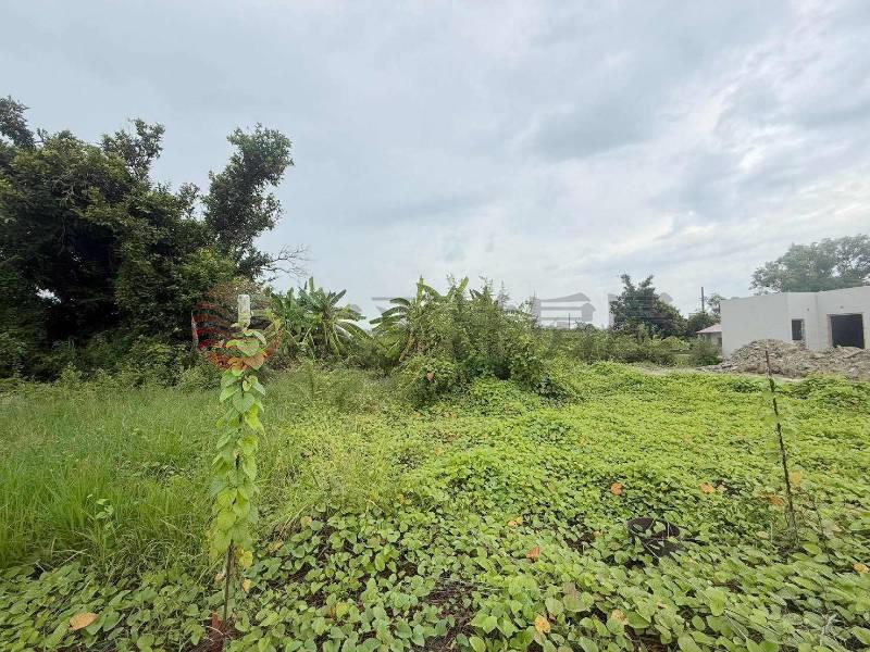 鹽水南門段建地房屋室內格局與周邊環境