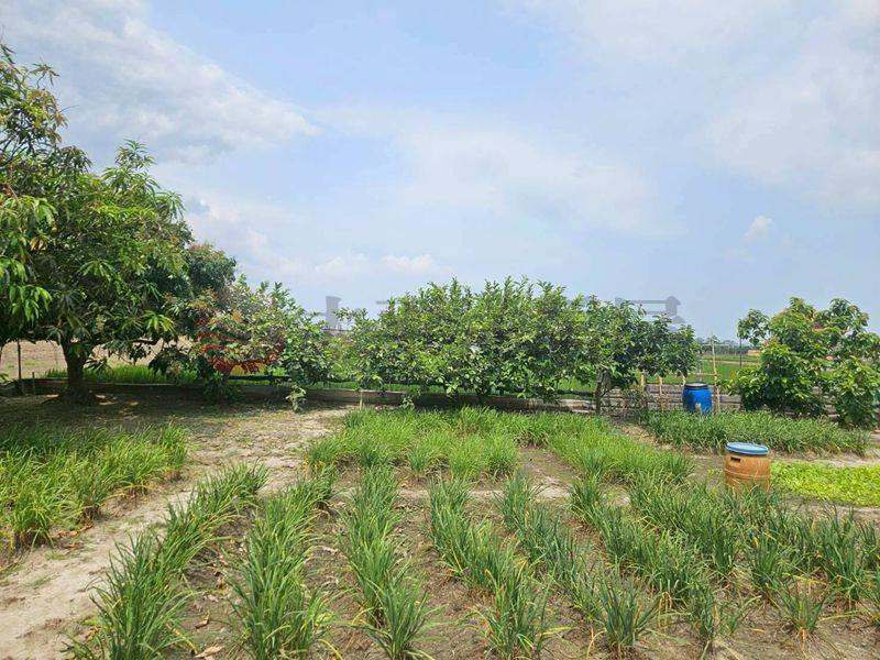 佳里5分農地房屋室內格局與周邊環境