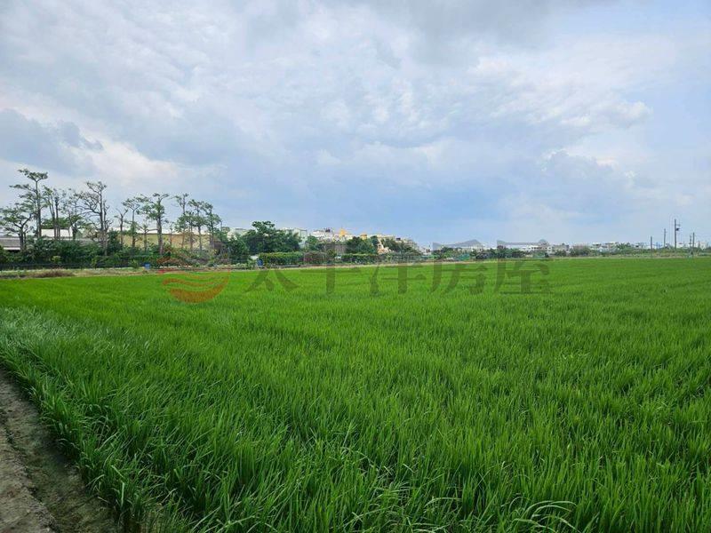 佳里5分農地房屋室內格局與周邊環境