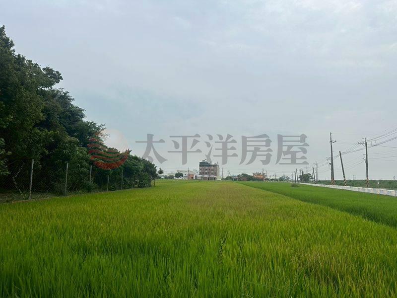 西港近佳里低於實登農地房屋室內格局與周邊環境