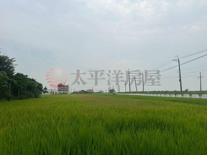 西港近佳里低於實登農地房屋室內格局與周邊環境