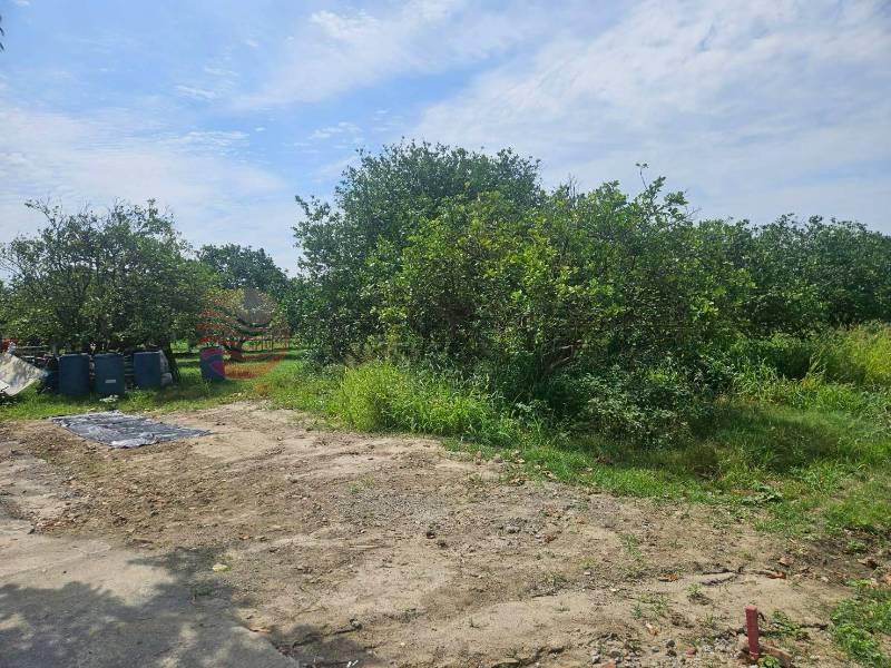 佳里後庄大路邊農地房屋室內格局與周邊環境