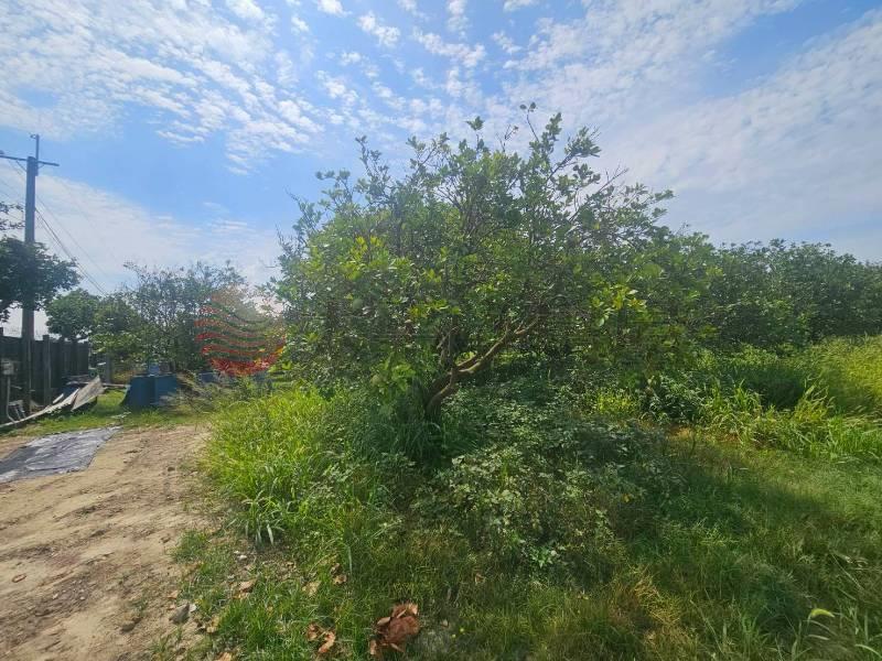 佳里後庄大路邊農地房屋室內格局與周邊環境