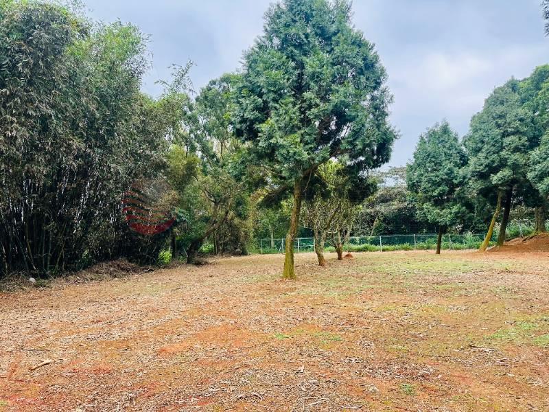 近高原交流道台3線一般農3121房屋室內格局與周邊環境