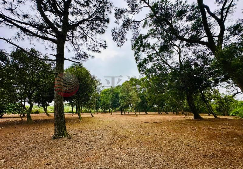 近高原交流道台3線一般農3121房屋室內格局與周邊環境